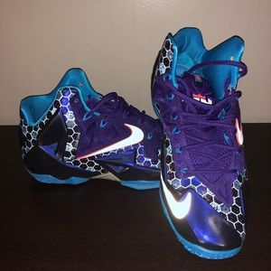 LeBron 11s Hornets